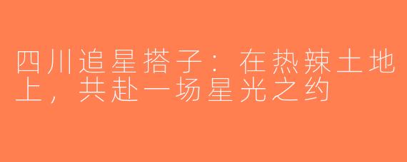 四川追星搭子：在热辣土地上，共赴一场星光之约