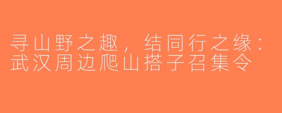 寻山野之趣，结同行之缘：武汉周边爬山搭子召集令