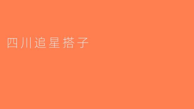 四川追星搭子