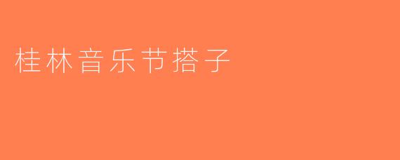 桂林音乐节搭子