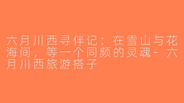 六月川西寻伴记:在雪山与花海间,等一个同频的灵魂-六月川西旅游搭子