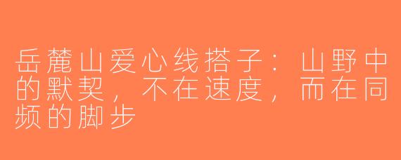 岳麓山爱心线搭子：山野中的默契，不在速度，而在同频的脚步