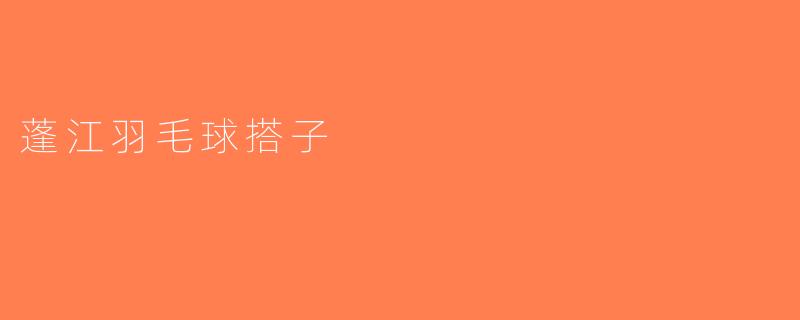 蓬江羽毛球搭子