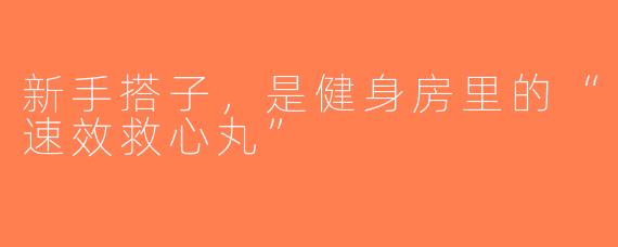 新手搭子,是健身房里的“速效救心丸”