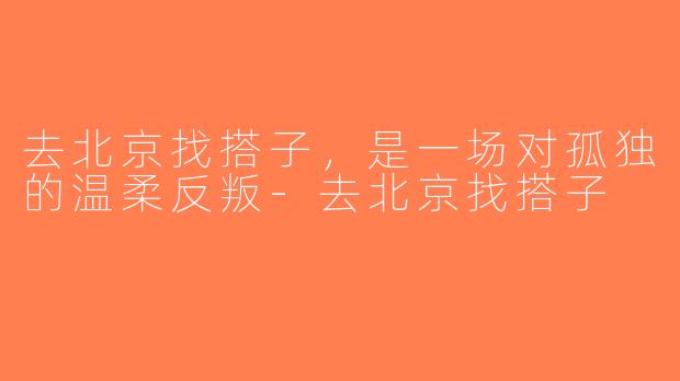 去北京找搭子，是一场对孤独的温柔反叛-去北京找搭子